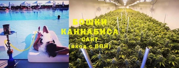 спиды Новозыбков