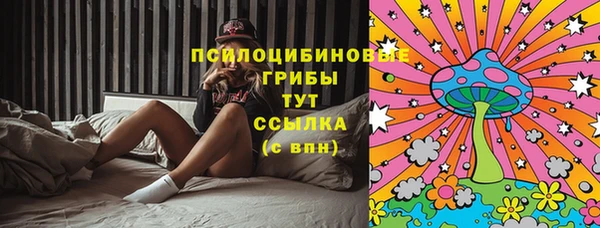 соль ск Няндома