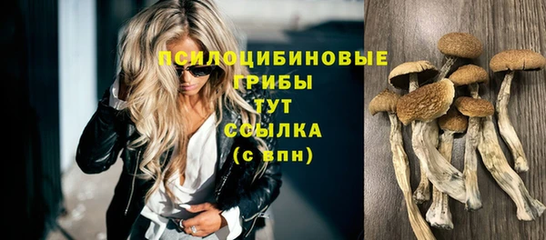 спиды Новозыбков