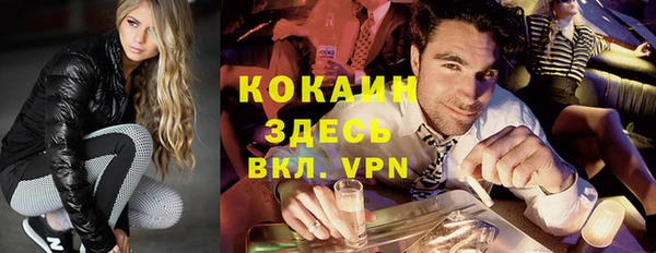 спиды Новозыбков