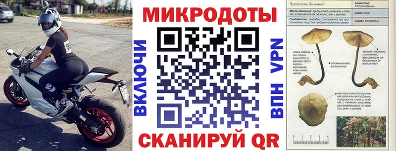 где купить наркоту  Поронайск  Галлюциногенные грибы мицелий 